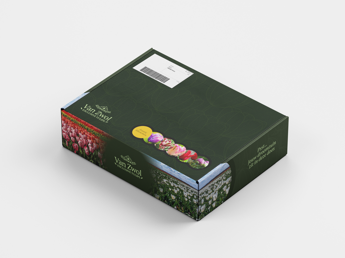 Exotic Showmix - Van Zwol Signature Tulips