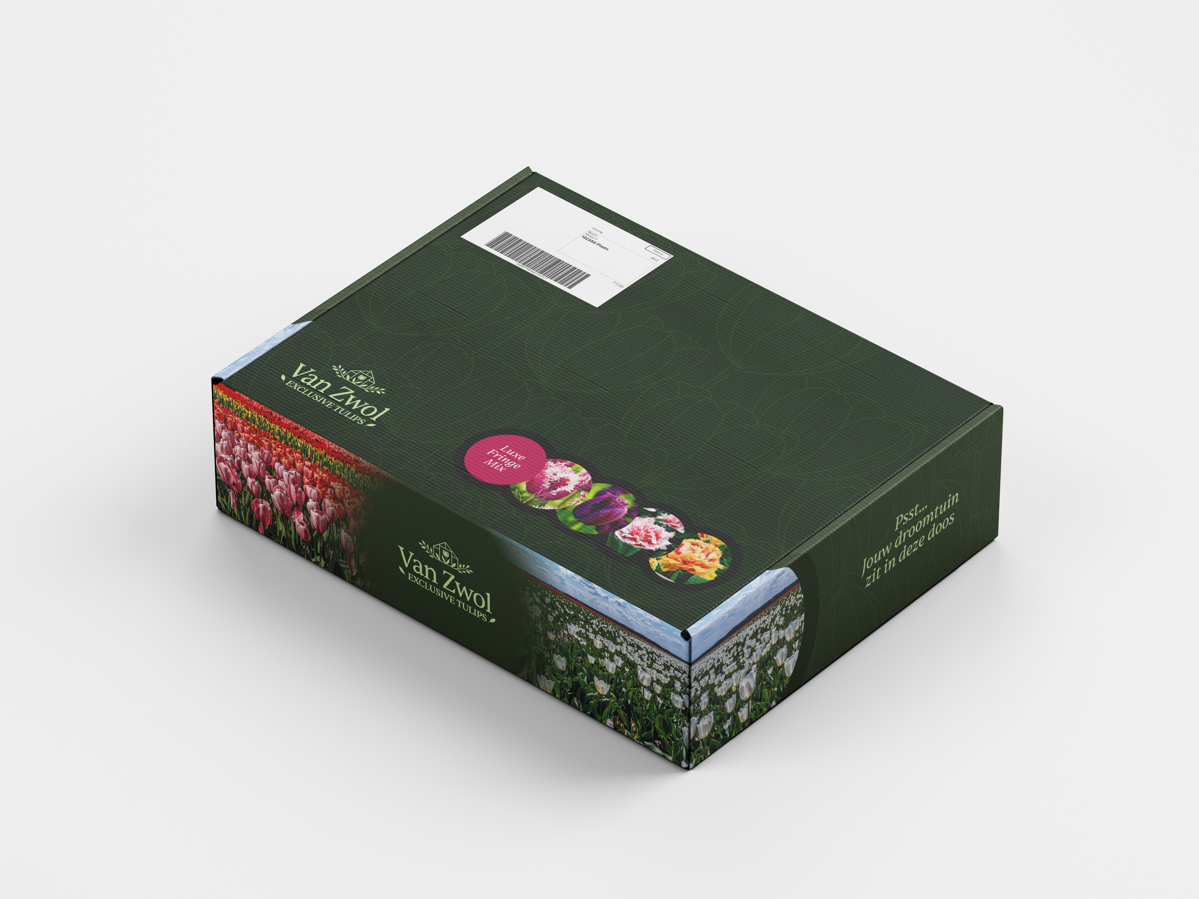 Luxe Fringe mix - Van Zwol Signature Tulips
